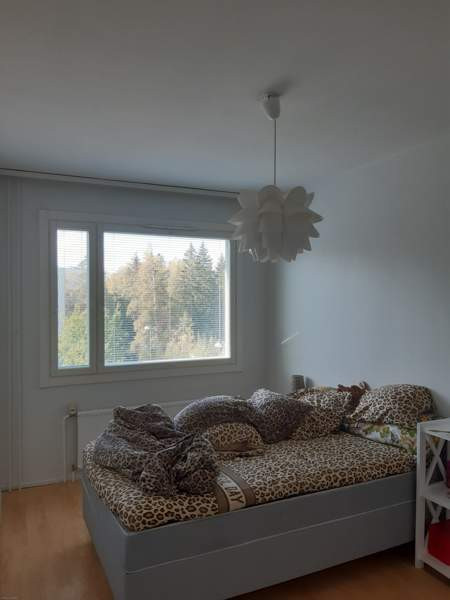 2h + k + p  Glebychevo - valokuva 4