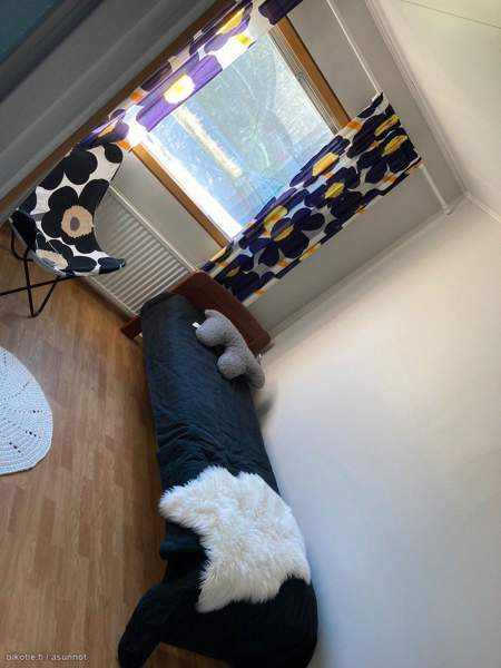 2 MH+OH/K+PH+VH  Kifri - valokuva 6