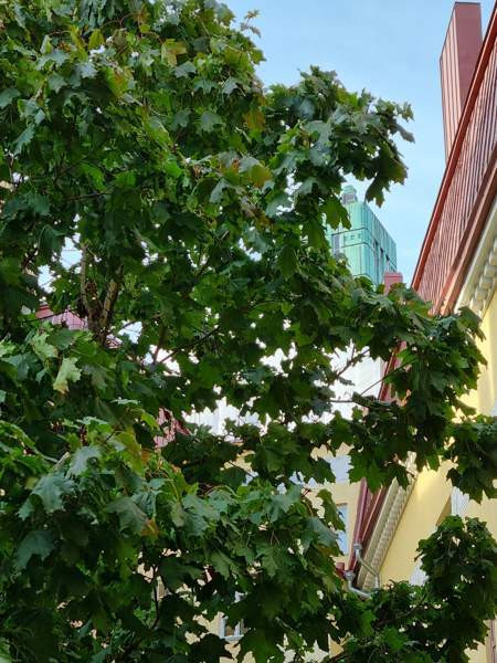 1h + kk  Helsinki - valokuva 5