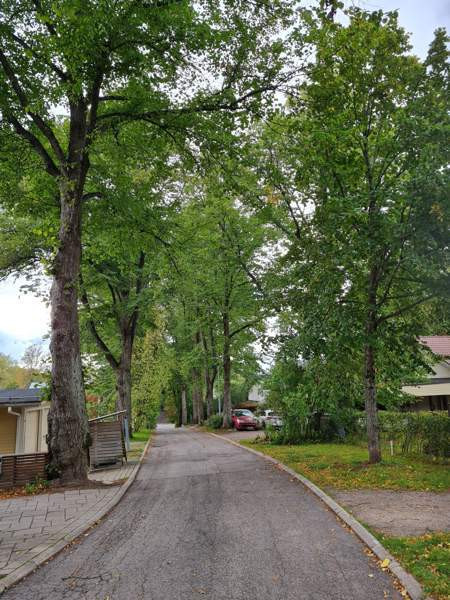 5 huonetta, ruokailutila, sauna, kylpyhuone, 2 x W  Helsinki - photo 5