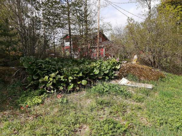 3h + s  Vähäkyrö – foto 4