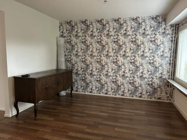 3h + s  Миккели - изображение 4