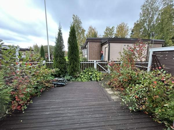 3h + s  Миккели - изображение 6