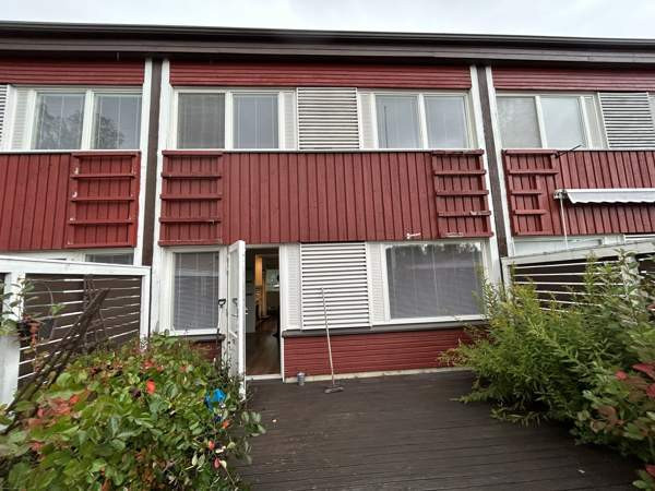 3h + s  Миккели - изображение 7