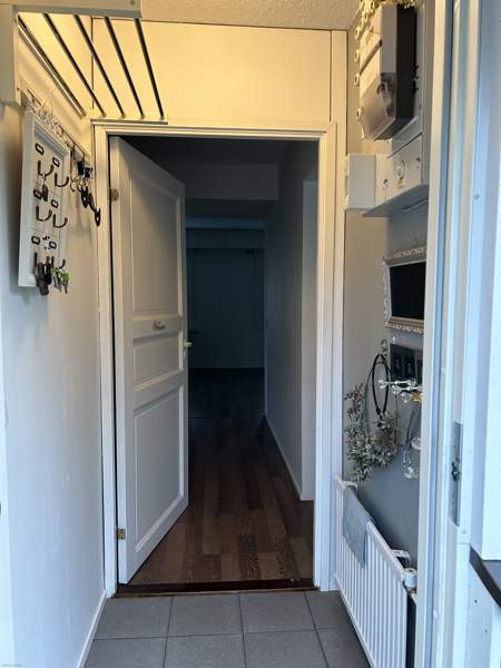 3h + s  Миккели - изображение 2