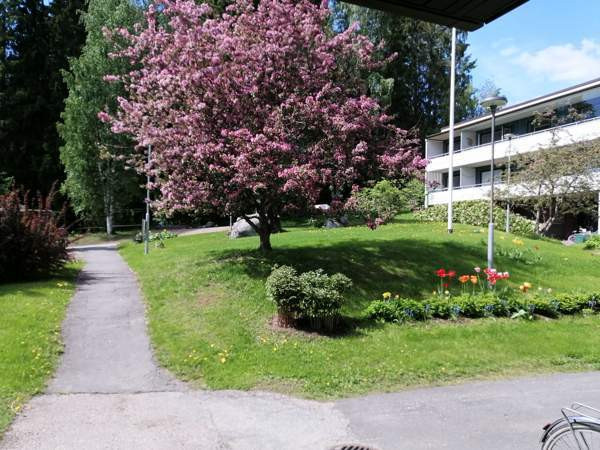 4h + k + p  Jyväskylä - valokuva 2