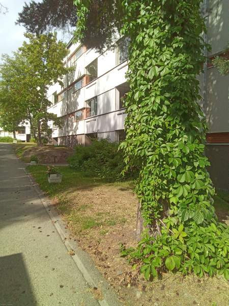 4h + p+k+kylpyhuone+erillinen WC  Helsinki – foto 2