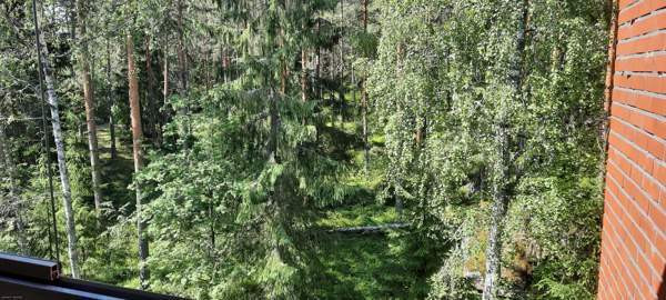 2h + p  Kouvola - photo 7