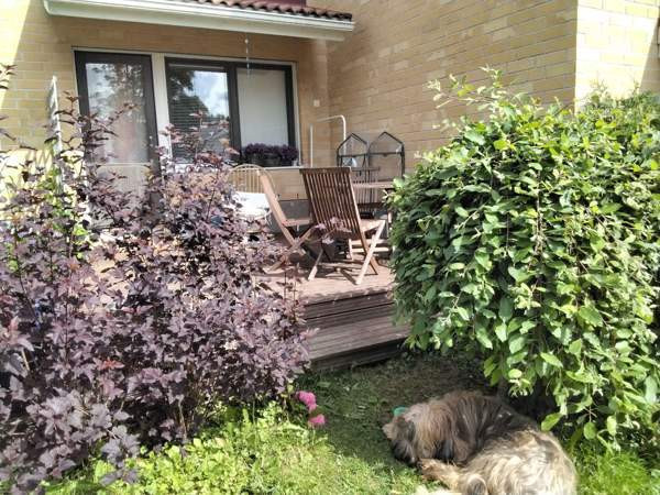 2h + avok + s  Куопио - изображение 3