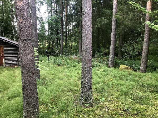 2h + s  Nivala - изображение 7