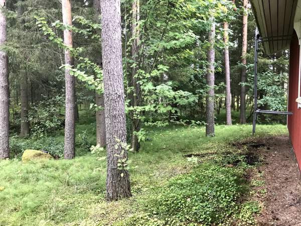 2h + s  Nivala - изображение 6