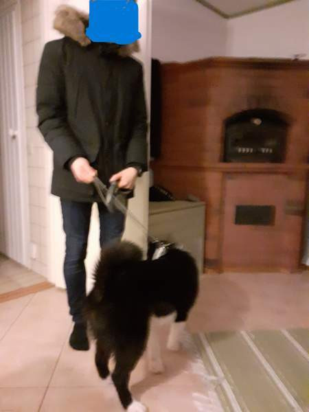 6h + s  Hyrynsalmi - изображение 8