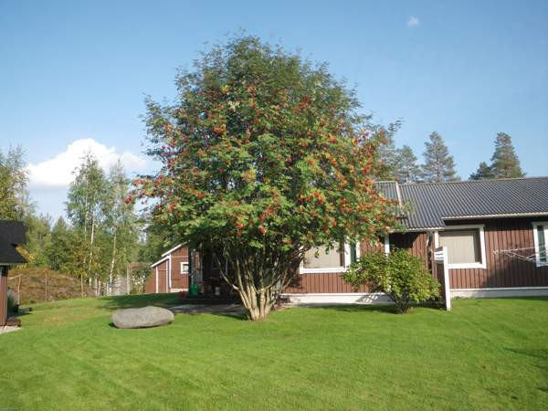 6h + s  Hyrynsalmi - изображение 4