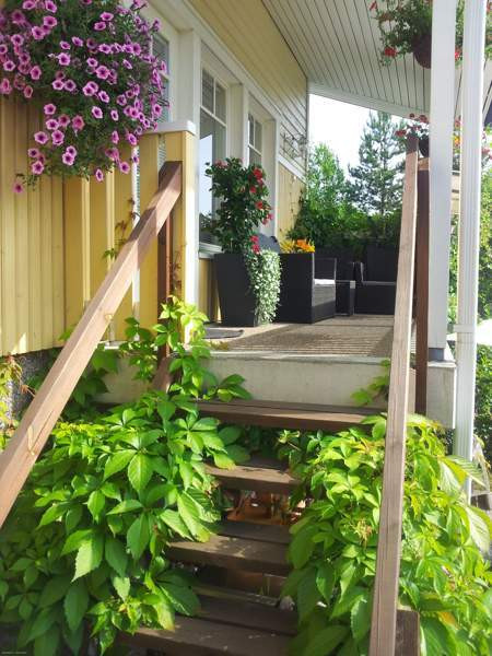 4h + s + p + at  Jyväskylä - valokuva 7