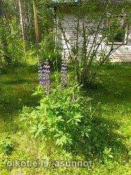 00000  Pudasjärvi – foto 4