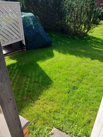 1h + s  Lapinlahti – foto 8