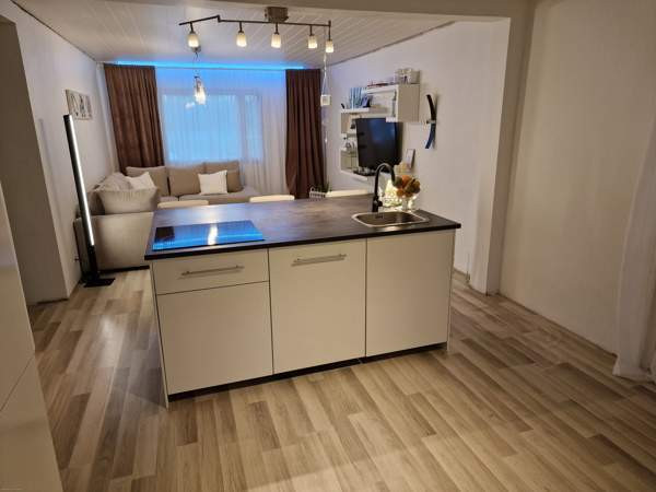 4h  Soini - изображение 2