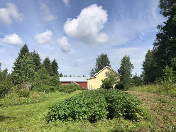 3h + s  Kitee - valokuva 3