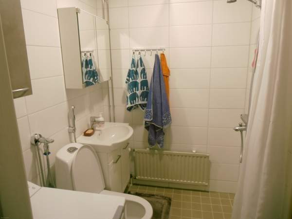 1h + kk + s  Ruovesi - valokuva 5
