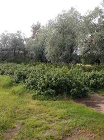 4h + k + s  Ristijärvi