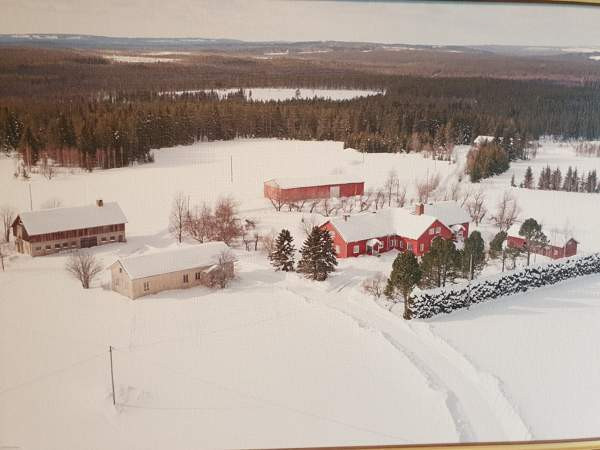 4h + k + s  Ristijärvi - photo 1