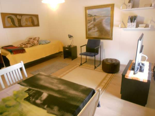 1h+kk + s  Ruovesi – foto 5