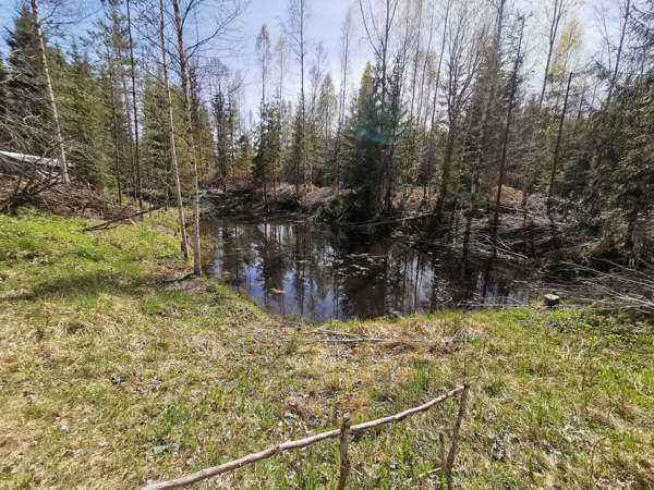 tunti Helsingistä  Loppi - изображение 1