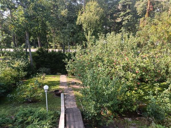 4h + s + vh + wc  Uusikaupunki - photo 3