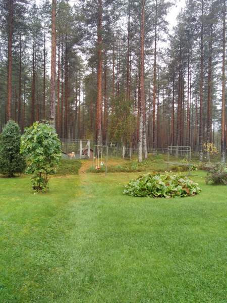 4h + k + s  Lieksa - photo 2