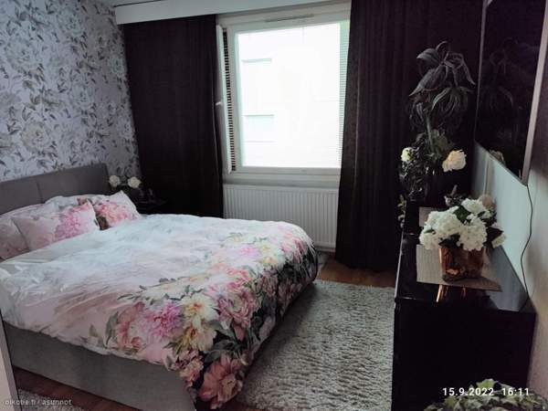 3h + s + p  Каяни - изображение 4