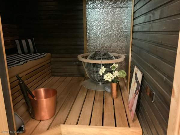 3h + s + p  Каяни - изображение 5