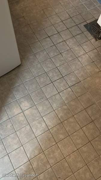 2hh + kk  Joutsa – foto 4