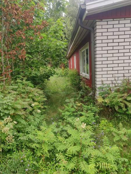 4h + k + s  Pöytyä - valokuva 7