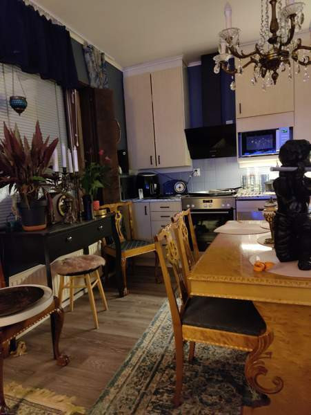 3h + k+kph/sauna  Oulainen – foto 4