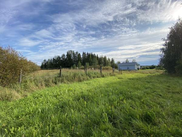 3mh+oh+k+ph+khh+2wc+talon yht. työhuone  Oulainen – foto 8