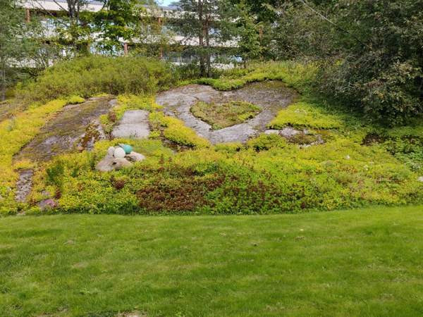 5h + s + p  Keuruu - valokuva 3