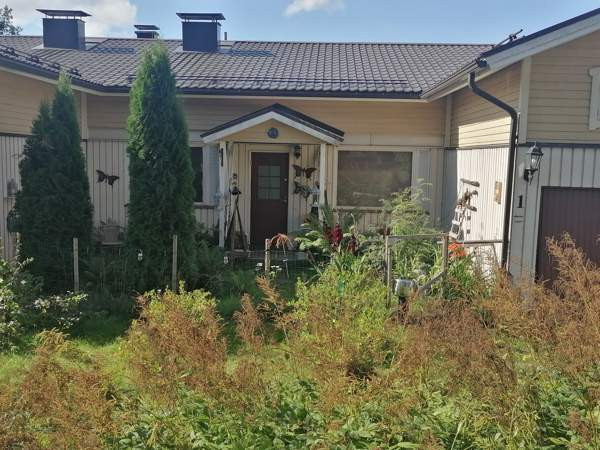 4h + s  Muurame - valokuva 3