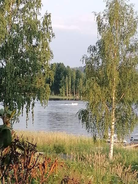 4h + s  Muurame – foto 4