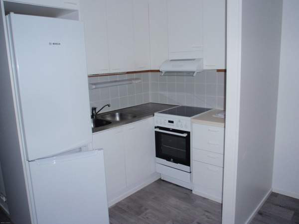 1h + s  Лодейное Поле - изображение 3