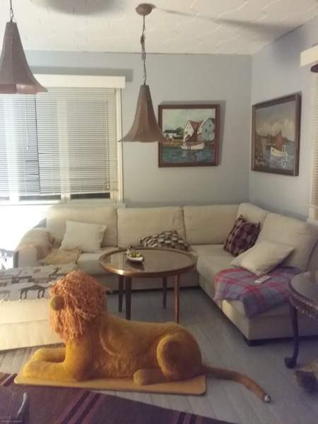 6h +2kk+2Г—sh/wc + s + p+terassi  Чукотский АО - изображение 5