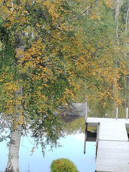 3h + s  Саров - изображение 3