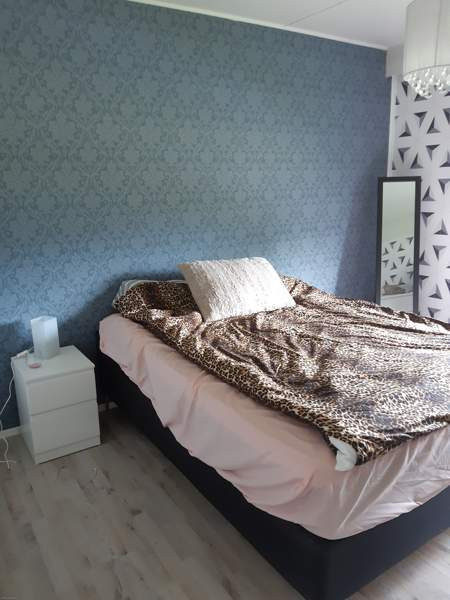 2h + k + s + ph + vh  Ulvila - photo 5