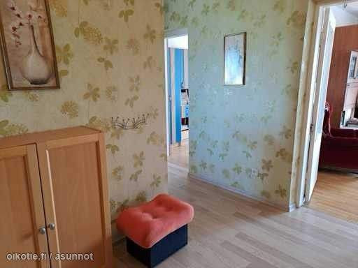 4h + k + 3p  Paernumaa - valokuva 7