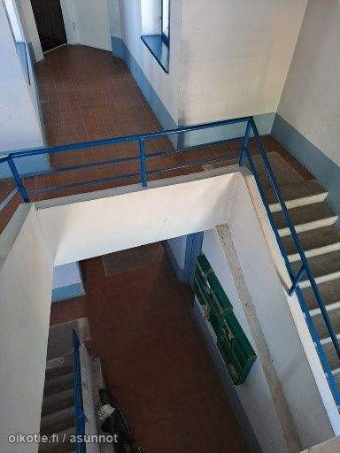 4h + k + 3p  Paernumaa - valokuva 2