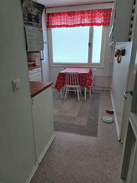 4h + p  Kajaani - valokuva 3