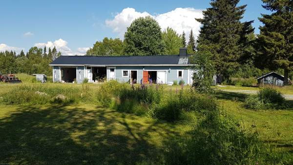 3h + k + s + p  Keminmaa - valokuva 8