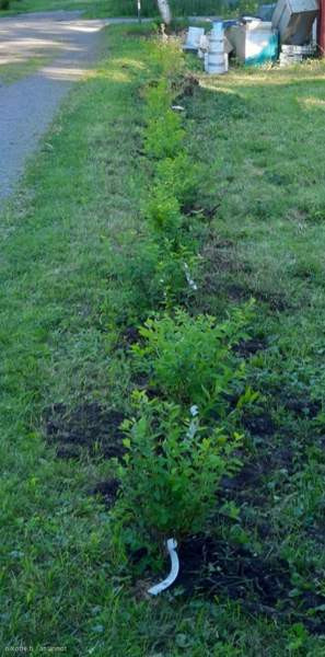 2h  Nurmijaervi - photo 6