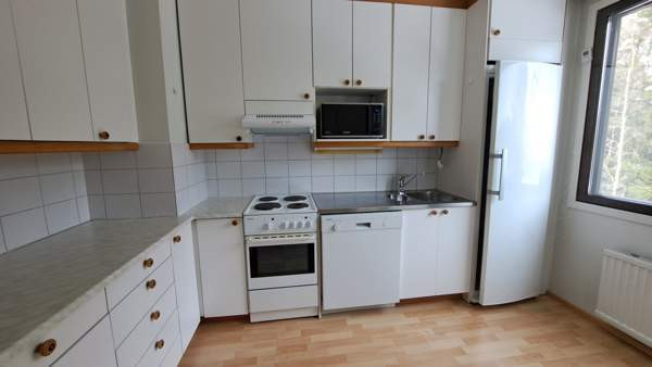 4h + p  Virrat - valokuva 4