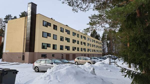 4h + p  Virrat - valokuva 2