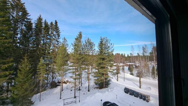 4h + p  Virrat - valokuva 7